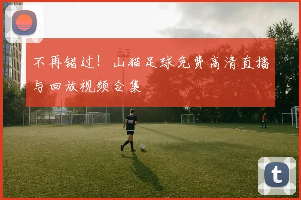 不再错过！山猫足球免费高清直播与回放视频合集
