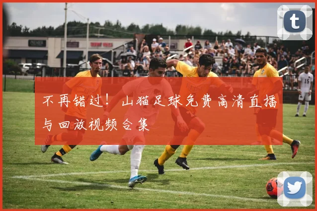 不再错过！山猫足球免费高清直播与回放视频合集