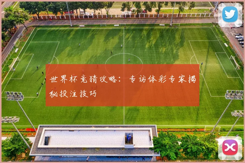 世界杯竞猜攻略:专访体彩专家揭秘投注技巧