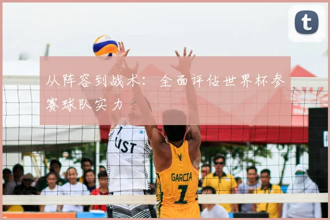 从阵容到战术：全面评估世界杯参赛球队实力
