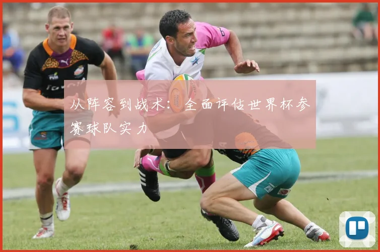 从阵容到战术：全面评估世界杯参赛球队实力