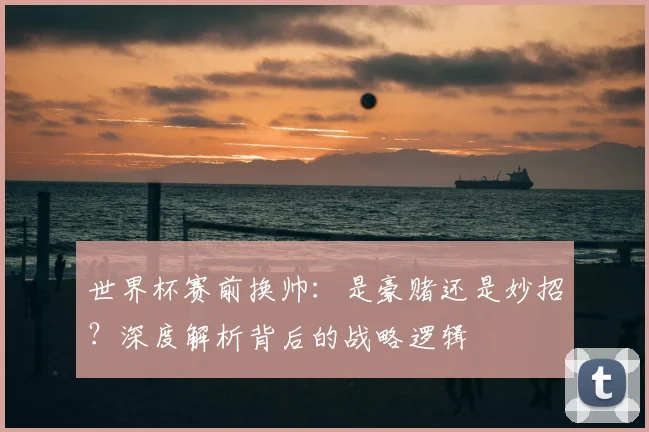 世界杯赛前换帅:是豪赌还是妙招?深度解析背后的战略逻辑
