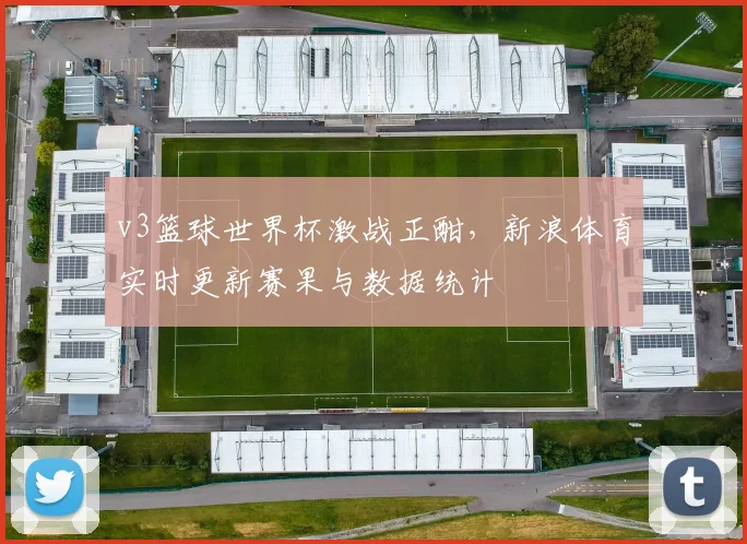 v3篮球世界杯激战正酣,新浪体育实时更新赛果与数据统计