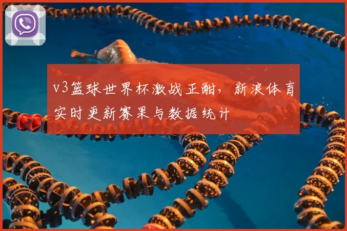 v3篮球世界杯激战正酣,新浪体育实时更新赛果与数据统计